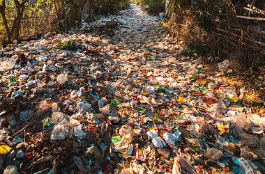 photo of plastics near trees